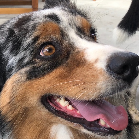 Meet your Posher, Peter - Picture 1 of 1